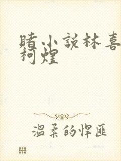 赌小说林喜朝和柯煜