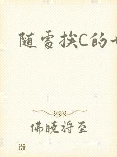 随处挨C的世界
