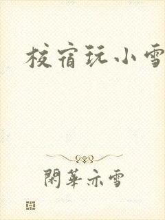 校宿玩小雪