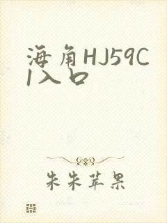 海角HJ59C1入口