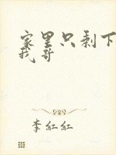 家里只剩下我和我哥