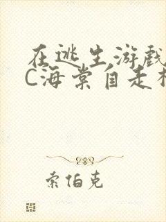 在逃生游戏里挨C海棠自走棋