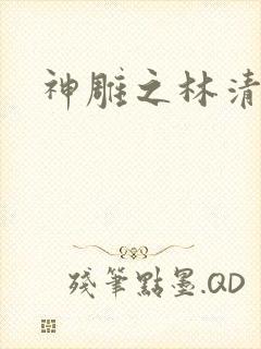 神雕之林清传