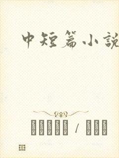 中短篇小说集