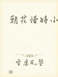 朝花惜时小说
