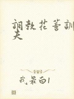 调教花蒂训诫从夫