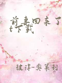 前妻回来了txt下载