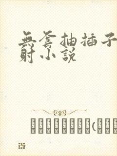 无套抽插子宫内射小说