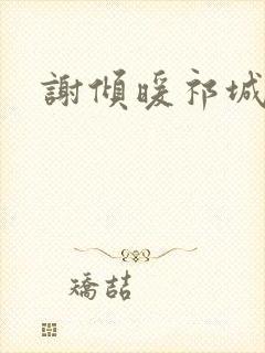 谢倾暖祁城笙