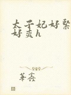 太子妃好紧皇上好爽h