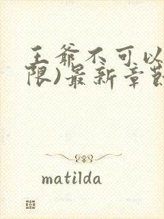 王爷不可以!(限)最新章节