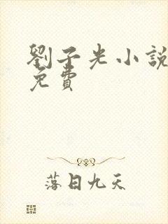 刘子光小说全文免费