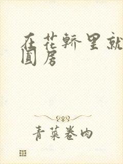 在花轿里就开始圆房