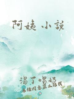 阿姨 小说