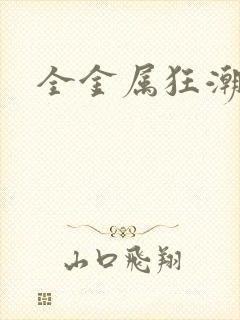 全金属狂潮小说