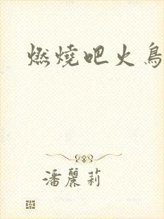 燃烧吧火鸟小说