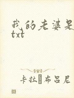 我的老婆是警察txt