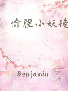偷腥小妖后