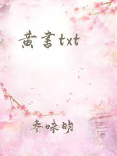 黄书txt