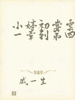 小婷初尝云雨第一章到第四章