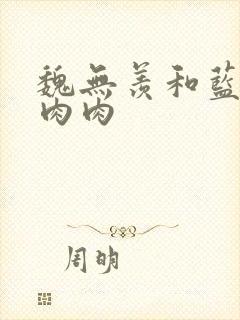 魏无羡和蓝忘机肉肉