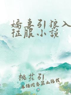娇妻引狼入室被征服小说