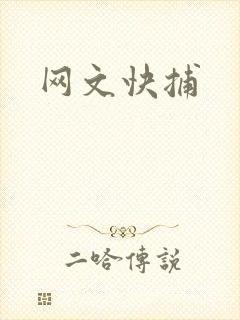 网文快捕