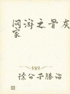 网游之骨灰级玩家