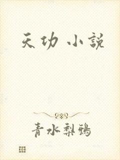 天功 小说
