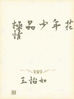 极品少年花都燃情