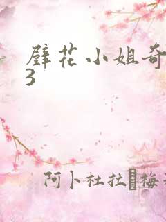 壁花小姐奇遇记3