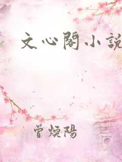 文心阁小说