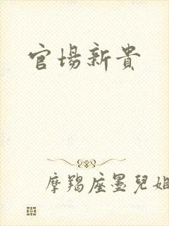 官场新贵