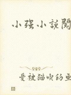 小强小说阅读网