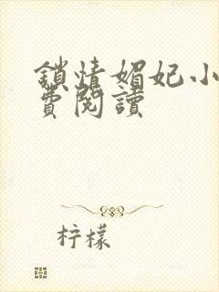 锁情媚妃小说免费阅读