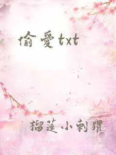 偷爱txt