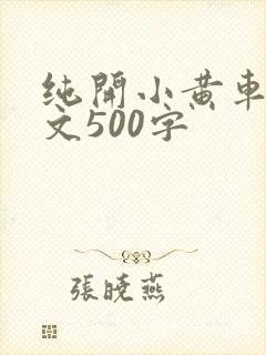 纯开小黄车小短文500字