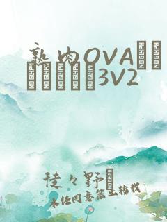 熟肉OVAちゃんはしたい3V2