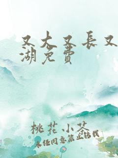 又大又长又租高湖免费