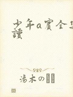 少年a宾全集阅读