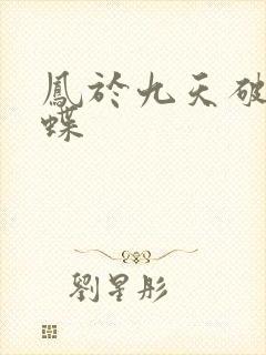凤于九天破茧成蝶