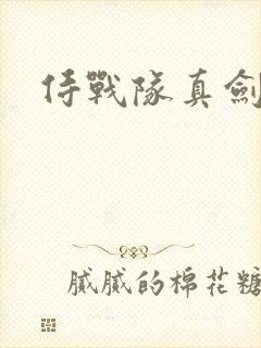 侍战队真剑者2