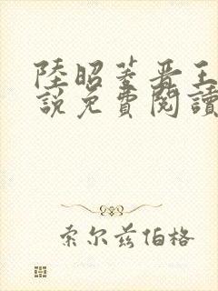 陆昭菱晋王的小说免费阅读