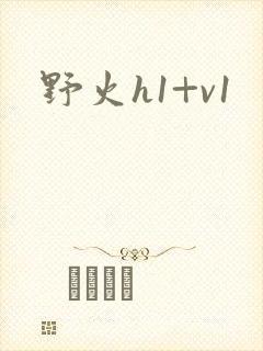 野火h1+v1