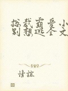 总裁霸爱小娇妻别想逃全文阅读免费