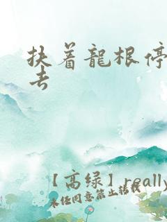 扶着龙根停了进去