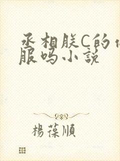 丞相朕C的你舒服吗小说