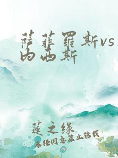 萨菲罗斯vs杰内西斯