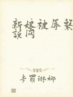 新娘被辱系列小说网