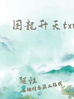 困龙升天txt